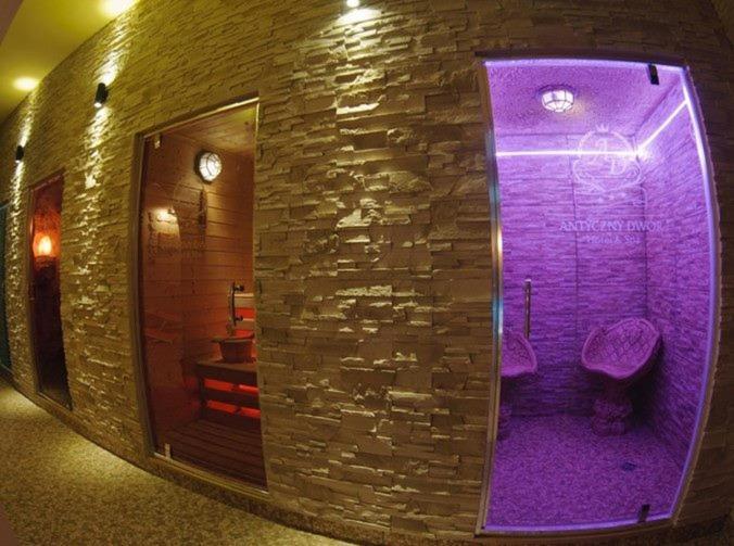 Hotel Wellness & Spa Antyczny Dwor Rudna Mala ภายนอก รูปภาพ